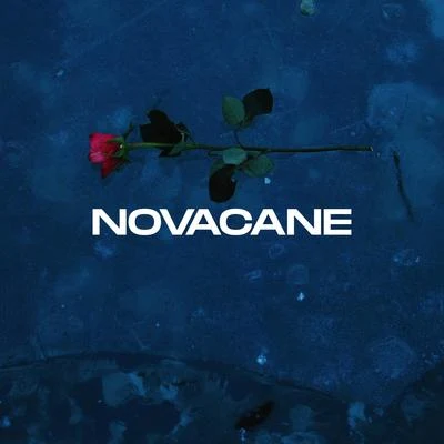 NOVACANE 專輯 RMDY