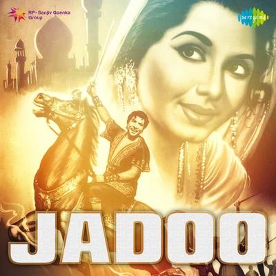 NaushadNadeem & Shravan Jadoo (Original Motion Picture Soundtrack)