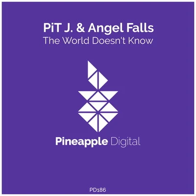 The World Doesn't Know 專輯 Angel Falls/DJ ARTAK