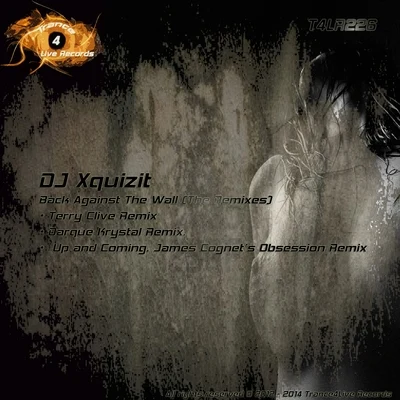 DJ Xquizit Back Against The Wall (The Remixes)