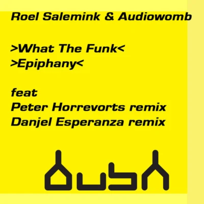 What The Funk & Epiphany 專輯 Roel Salemink/MRH