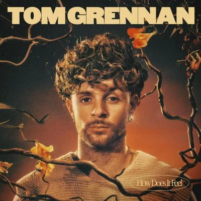 How Does It Feel 專輯 SIDEPIECE/Tom Grennan/Calvin Harris