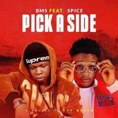 Pick a Side 專輯 Spice