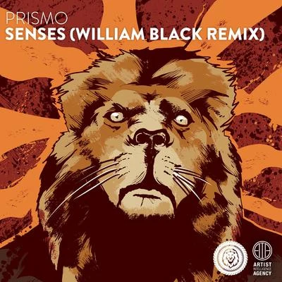 Senses - Single (William Black Remix) 專輯 Prismo/Elle Vee