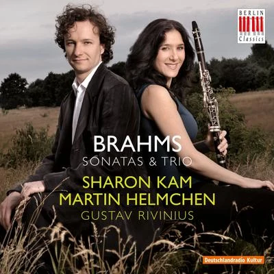 Brahms: sonatas trio是 專輯 Frank Peter Zimmermann/Martin Helmchen