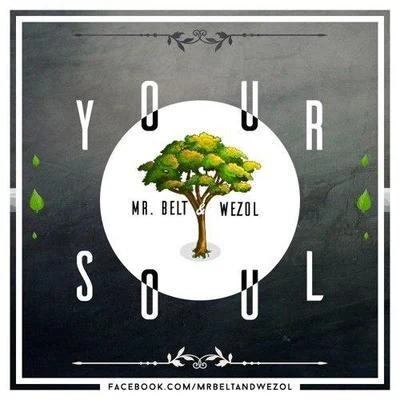 Your Soul (Original Mix) 专辑 Mr. Belt & Wezol