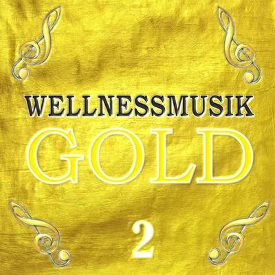 Wellnessmusik Gold 2 专辑 Largo/Jaydon Lewis