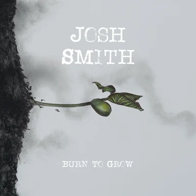 Watching You Go 專輯 Disero/Josh Smith