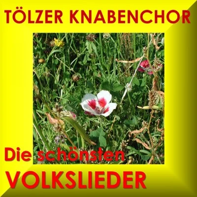 Die Schönsten Volkslieder 專輯 Tölzer Knabenchor/Thomanerchor Leipzig/Dresdner Kreuzchor/Wiener Sangerknaben/Regensburger Domspatzen