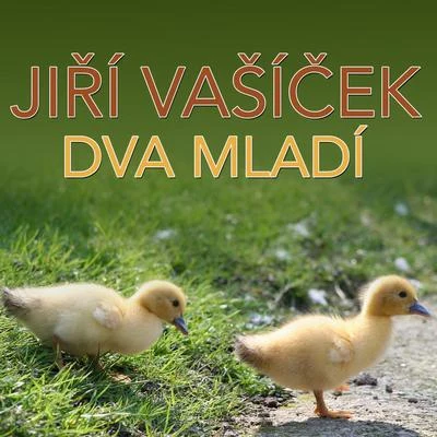 Dva Mladí 專輯 Orchestr Dalibora Brázdy/Karel Krautgartner/Jirí Vašícek/Karel Vlach se svým orchestrem/Gustav Brom