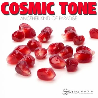 Another Kind of Paradise 专辑 Cosmic Tone/Cosmic Flow