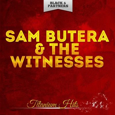 Titanium Hits 專輯 Sam Butera & The Witnesses/Sammy Davis