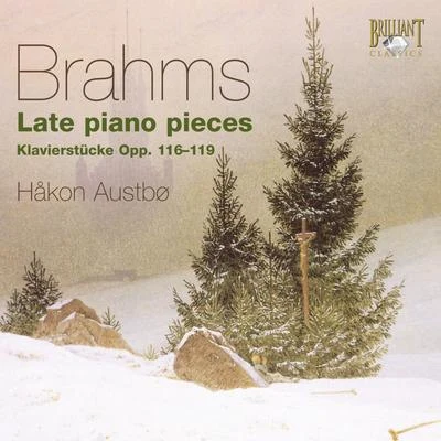 Brahms: Late Piano Pieces 專輯 Makon Austbo/Hakon Austbo/Peter Schat/Van Gendt Quintet/Ellen Schuring