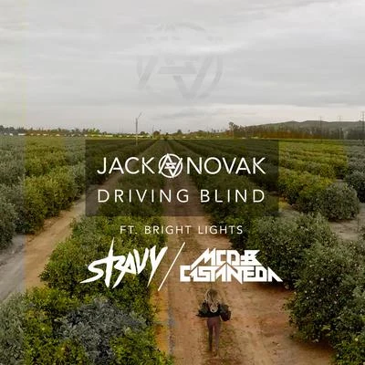 Driving Blind (The Remixes) 专辑 Jack Novak