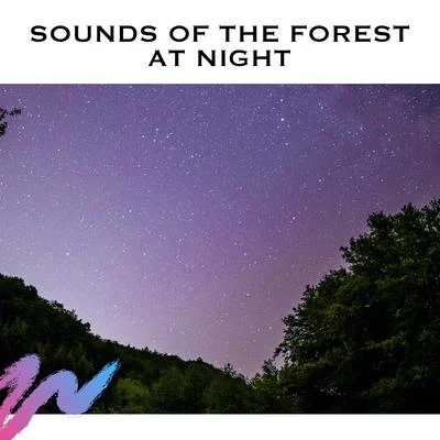 Sounds of The Forest at Night 专辑 Natural White Noise Relaxation/Relax α Wave/Spa Music & Meditation Collective