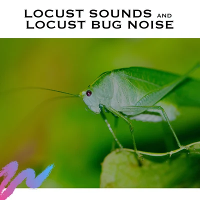 Locust Sounds and Locust Bug Noise 專輯 White Noise Radiance/White Noise Therapy