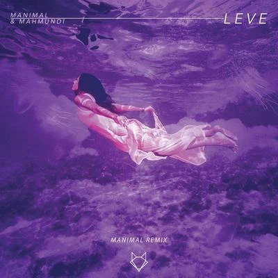 Leve (Manimal Remix) 專輯 Lowsince/Manimal/Chemical Surf