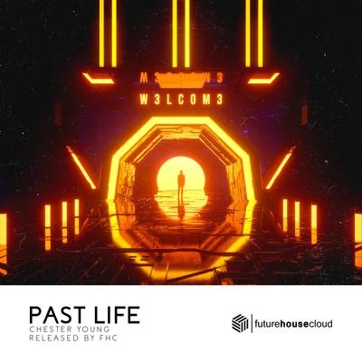 Past Life 专辑 Chester Young/Castion/Avenax