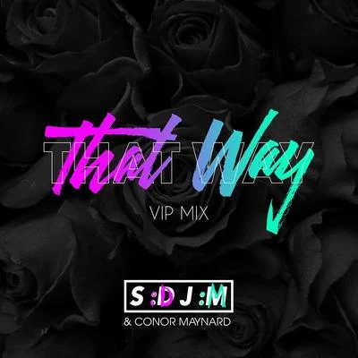 SDJMConor Maynard That Way (VIP Mix)