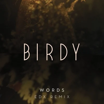 Words (EDX Remix) 专辑 BIRDY