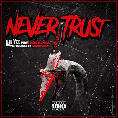 Never Trust 專輯 Lil Yee