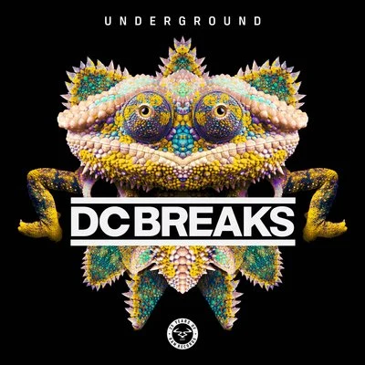 Underground 專輯 DC Breaks