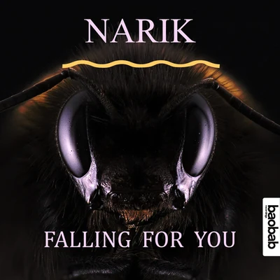 Falling For You 专辑 Tobi Kramer/Narik/Carlo Whale