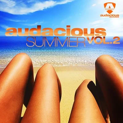 Audacious Summer Vol. 2 专辑 Dave Audé