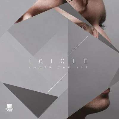 Under The Ice 專輯 Icicle/Mefjus