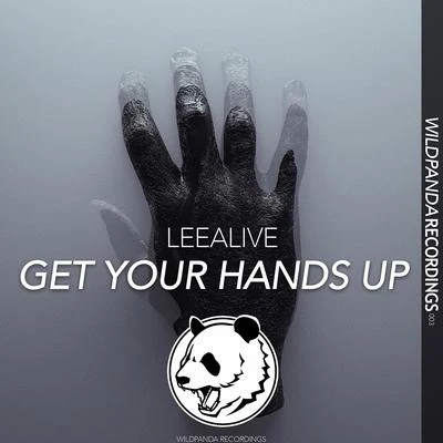 GET YOUR HANDS UP(Original Mix) 專輯 LeeAlive