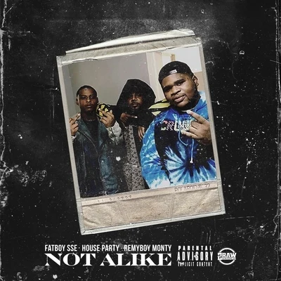 Not Alike (feat. House Party Monty) 专辑 Fatboy SSE