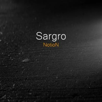 The Sargro L.P 专辑 NOTION