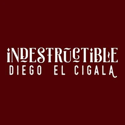 Indestructible 專輯 Diego el Cigala