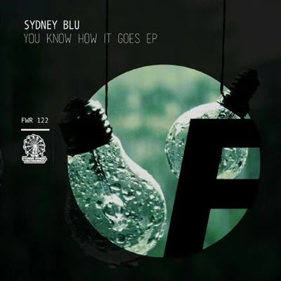 You Know How It Goes 专辑 Fritz Helder/Sydney Blu