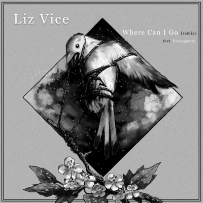 Where Can I Go (Remix) [feat. Propaganda] 專輯 Liz Vice/Odd Thomas/Propaganda/Braille/JGivens