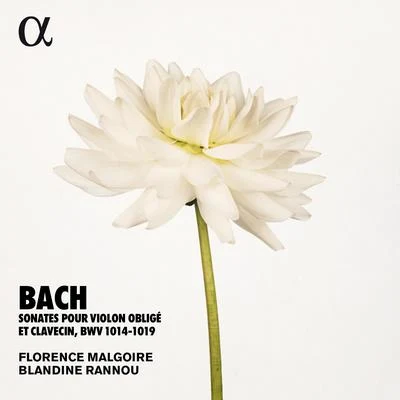 Blandine RannouPaul AgnewElizabeth KennyAnne-Marie Lasla Bach: Sonates pour violon obligé et clavecin, BWV 1014-1019 (Alpha Collection)