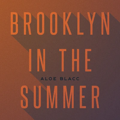 Aloe Blacc Brooklyn In The Summer