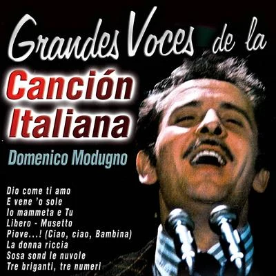 Grandes Voces de la Canción Italiana: Domenico Modugno 专辑 Domenico Modugno