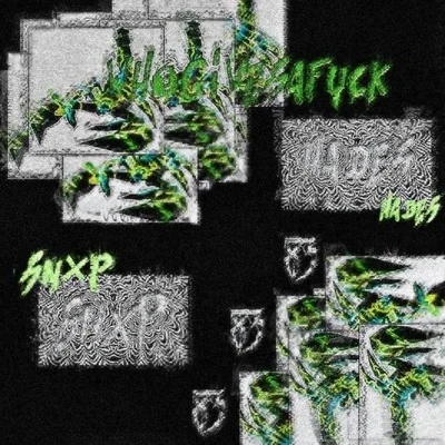 WHO GIVES A F*** 專輯 SNXP/Virus/UNDXRTVKER/$AD