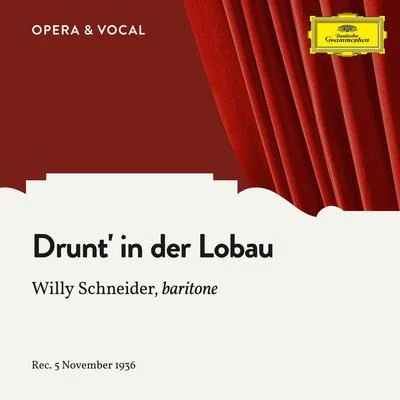 Strecker: Drunt in der Lobau, Op. 290 專輯 Willy Schneider