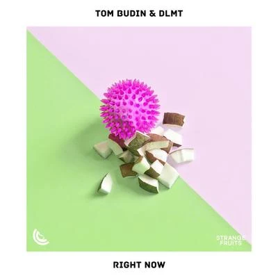 Right Now 專輯 HVNNIBVL/Tom Budin/its different/DLMT