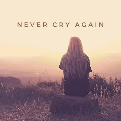 Never Cry Again (Remixes) 專輯 Amurai/Sean Ryan/Anton Ishutin