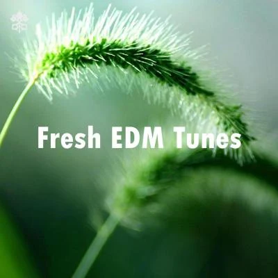 Fresh EDM Tunes 專輯 Dripice