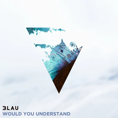 Would You Understand 专辑 3LAU/Shaun Frank