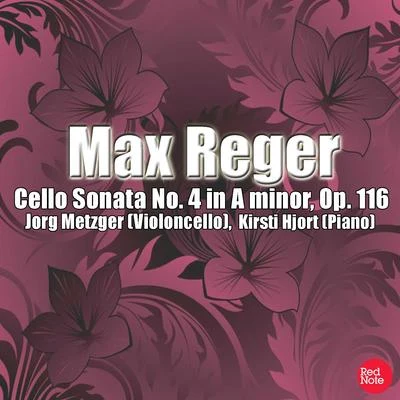 Max Reger: Cello Sonata No. 4 in A minor, Op. 116 专辑 Jörg Metzger/Camerata Academica Würzburg/Gert Hoelscher/Antonio Vivaldi/Conrad von der Goltz