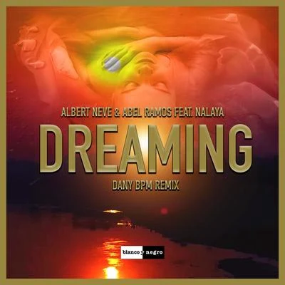 Dreaming (Dany BPM Remix) 專輯 Abel Ramos/The Cube Guys