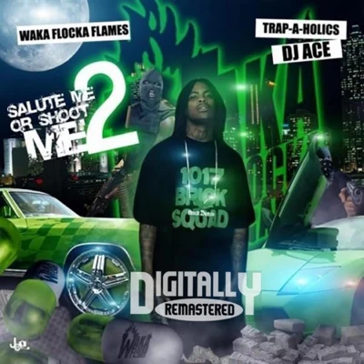 Salute Me Or Shoot Me 2 專輯 Waka Flocka Flame/Steve Aoki