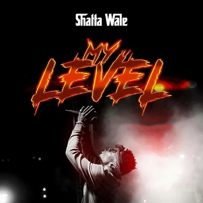 My Level 專輯 Shatta Wale