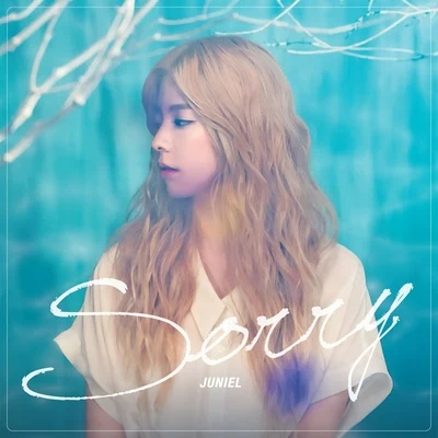 Sorry 專輯 NIEL/JUNIEL