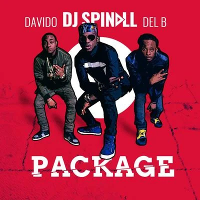 DJ Spinall Package